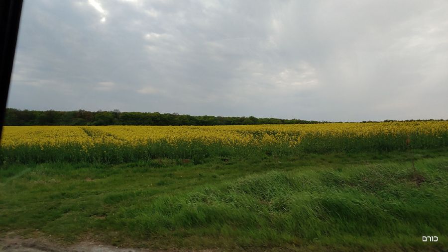 רומניה פסח 2019